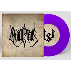 Deinonychus - Audial Representation Of Misery And i gruppen VINYL / Metal/ Heavy metal hos Bengans Skivbutik AB (3917296)