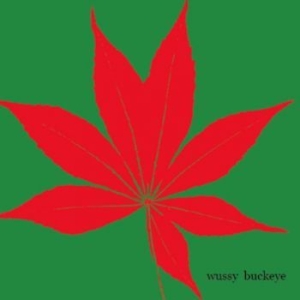 Wussy - Buckeye i gruppen CD hos Bengans Skivbutik AB (3917820)