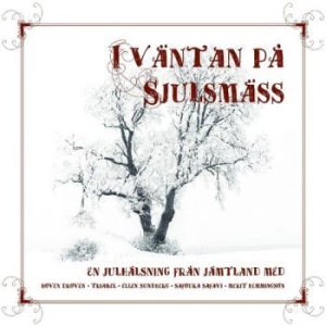 Various Artists - I Väntan På Sjulsmäss i gruppen Labels / Woah Dad / Dold_tillfall hos Bengans Skivbutik AB (3917839)