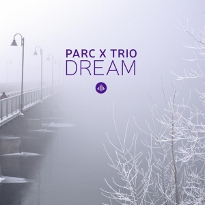 Parc X Trio - Dream i gruppen CD / Jazz hos Bengans Skivbutik AB (3921418)