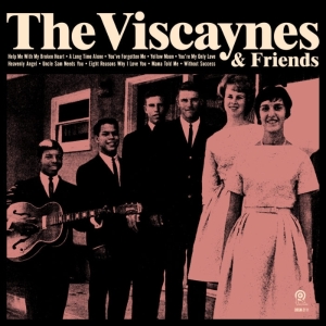 Viscaynes - Viscaynes & Friends i gruppen VINYL / Jazz,Pop-Rock,Annet hos Bengans Skivbutik AB (3925625)