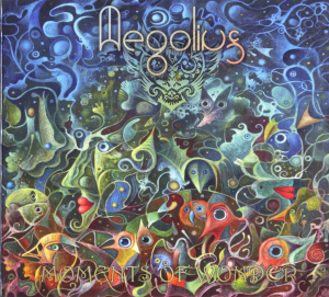 Aegolius - Moments Of Wonder i gruppen CD / Dans/Techno hos Bengans Skivbutik AB (3926115)