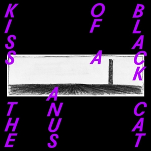 Kiss The Anus Of A Black Cat - If The Sky Falls, We Shall Catch Larks i gruppen VINYL / Pop-Rock,Annet hos Bengans Skivbutik AB (3928906)