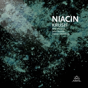 Niacin - Krush i gruppen CD / Jazz,Pop-Rock hos Bengans Skivbutik AB (3931652)