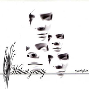 Without Gravity - Beautiful Son -2Tr- i gruppen VINYL / Pop-Rock,Annet hos Bengans Skivbutik AB (3934658)