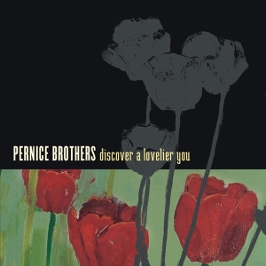 Pernice Brothers - Discover A Lovelier You i gruppen CD / Pop-Rock,Annet hos Bengans Skivbutik AB (3934897)