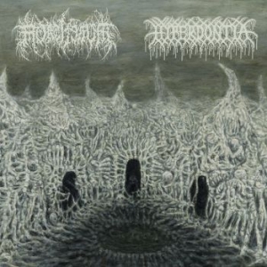 Hyperdontia/ Mortiferum - Split i gruppen VINYL / Metal/ Heavy metal hos Bengans Skivbutik AB (3951143)