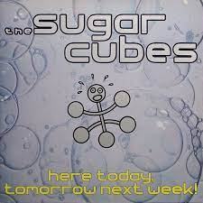 Sugarcubes - Here Today, Tomorrow Next Week! i gruppen VINYL / Pop-Rock,Annet hos Bengans Skivbutik AB (3951734)