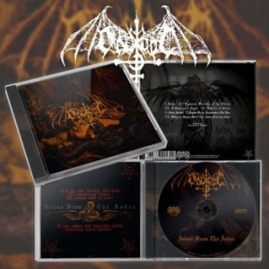 Ondskapt - Arisen From The Ashes i gruppen CD / Metal/ Heavy metal hos Bengans Skivbutik AB (3952148)