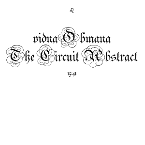 Vidna Obmana - Circuit Abstract i gruppen VINYL / Ambient,Dance-Techno hos Bengans Skivbutik AB (3961471)