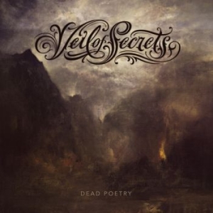 Veil Of Secrets - Dead Poetry (Galaxy Effect Vinyl) i gruppen VINYL / Metal/ Heavy metal hos Bengans Skivbutik AB (3962349)