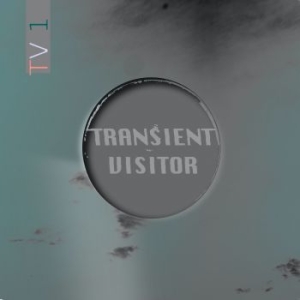 Transient Visitor - Tv1 i gruppen VINYL hos Bengans Skivbutik AB (3965462)