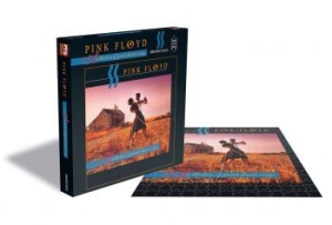 Pink Floyd - Collection Of Great Dance Songs (10 i gruppen Minishops / Pink Floyd hos Bengans Skivbutik AB (3969022)