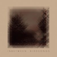 Gusset Matthias - Inbetween Birdsongs i gruppen VINYL / Elektroniskt,World Music hos Bengans Skivbutik AB (3971135)