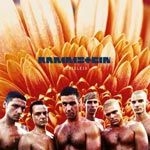 Rammstein - Herzeleid i gruppen CD / Metal,Pop-Rock hos Bengans Skivbutik AB (3976755)