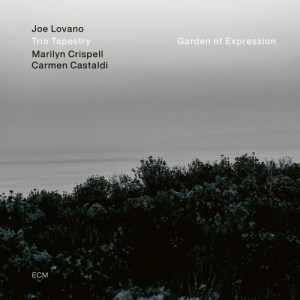 Joe Lovano Trio Tapestry - Garden Of Expression (Vinyl) i gruppen CDV06 hos Bengans Skivbutik AB (3976780)