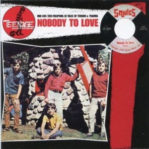 Various Artists - Teenage Shut Down - Nobody To Love i gruppen VINYL / Pop-Rock hos Bengans Skivbutik AB (3977700)