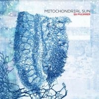 Mitochondrial Sun - Sju Pulsarer i gruppen CD / Metal hos Bengans Skivbutik AB (3978921)