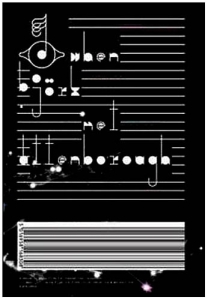 Bjork - When Bjork Met David Attenborough i gruppen Musikkk-DVD & Bluray hos Bengans Skivbutik AB (3980396)