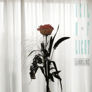 Veil Of Light - Landslide i gruppen VINYL / Rock hos Bengans Skivbutik AB (3980740)