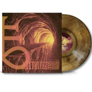 Jointhugger - Reaper Season (Gold/Black Marbled V i gruppen VINYL / Metal,Norsk Musikkk hos Bengans Skivbutik AB (3983427)