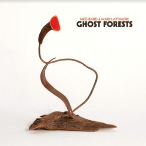 Baird Meg And Mary Lattimore - Ghost Forests (Coke Bottle Clear Vi i gruppen VINYL / Pop hos Bengans Skivbutik AB (3985556)