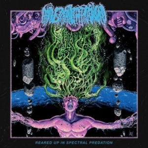 Universally Estranged - Reared Up In Spectral Predation i gruppen CD / Metal hos Bengans Skivbutik AB (3987567)