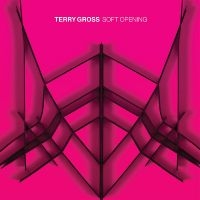 Gross Terry - Soft Opening (Translucent Blue Viny i gruppen VINYL / Pop-Rock hos Bengans Skivbutik AB (3988698)