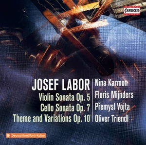 Josef Labor - Violin Sonata, Op. 5, Cello Sonata, i gruppen VI TIPSER / Julegavetips CD hos Bengans Skivbutik AB (3988823)