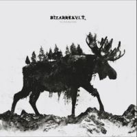 Bizarrekult - Vi Overlevde i gruppen VINYL / Metal hos Bengans Skivbutik AB (3990280)