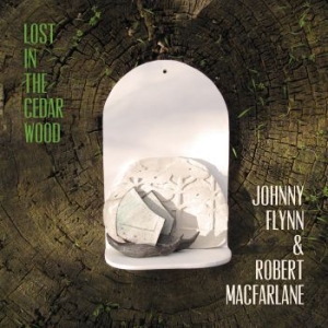 Johnny Flynn - Lost In The Cedar Wood i gruppen VINYL / Pop-Rock hos Bengans Skivbutik AB (3992443)