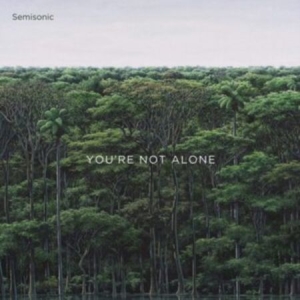 Semisonic - You're Not Alone i gruppen VINYL hos Bengans Skivbutik AB (3992885)