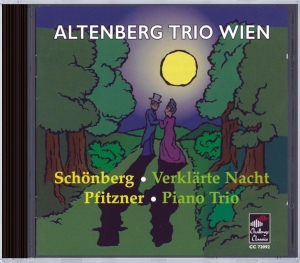 Schonberg/Pfitzner - Verklarte Nacht/Piano Tri i gruppen CD / Klassisk,Annet hos Bengans Skivbutik AB (3995401)