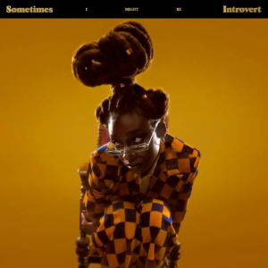 Little Simz - Sometimes I Might Be Introvert (Clear Vi i gruppen VINYL / Hip Hop-Rap,Pop-Rock,RnB-Soul hos Bengans Skivbutik AB (3997813)