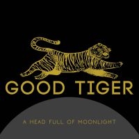 Good Tiger - A Head Full Of Moonlight i gruppen CD / Metal,Pop-Rock hos Bengans Skivbutik AB (4005731)