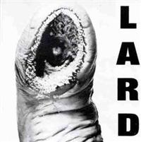 Lard - Power Of Lard i gruppen VINYL / Pop-Rock hos Bengans Skivbutik AB (4007993)