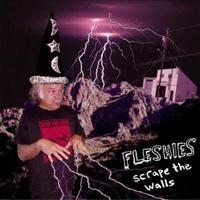 Fleshies - Scrape The Walls i gruppen VINYL / Pop-Rock hos Bengans Skivbutik AB (4008017)