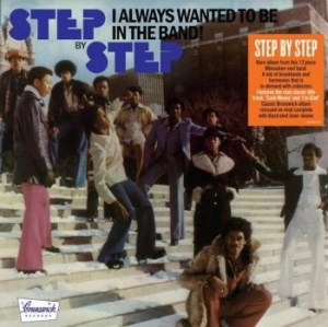 Step By Step - I Always Wanted To Be In The Band ( i gruppen VINYL hos Bengans Skivbutik AB (4009401)