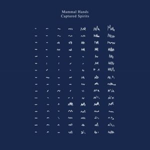 Mammal Hands - Captured Spirits i gruppen CD / Jazz/Blues hos Bengans Skivbutik AB (4009700)