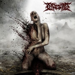 Ingested - Surreption Ii i gruppen CD / Metal/ Heavy metal hos Bengans Skivbutik AB (4012676)