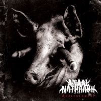 ANAAL NATHRAKH - ENDARKENMENT i gruppen CD / Metal hos Bengans Skivbutik AB (4013676)