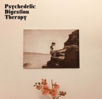 Psychedelic Digestion Therapy - Psychedelic Digestion Therapy i gruppen VINYL / Pop-Rock hos Bengans Skivbutik AB (4014092)