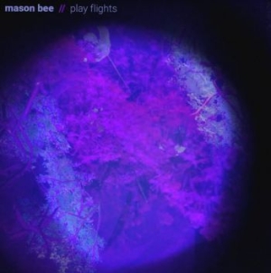 Bee Mason - Play Flights i gruppen VINYL hos Bengans Skivbutik AB (4014102)