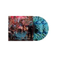 Vulvodynia - Praenuntius Infiniti (Mint & Purple i gruppen VINYL / Metal hos Bengans Skivbutik AB (4018500)