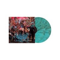 Vulvodynia - Praenuntius Infiniti (Green & Black i gruppen VINYL / Metal hos Bengans Skivbutik AB (4018502)