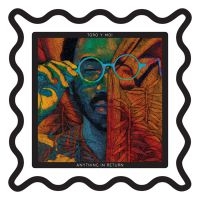 Toro Y Moi - Anything In Return i gruppen VINYL / Metal,Pop-Rock hos Bengans Skivbutik AB (4023000)