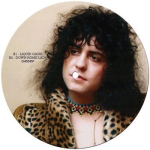 T.Rex - Groover (Picture Disc) i gruppen VINYL hos Bengans Skivbutik AB (4024539)