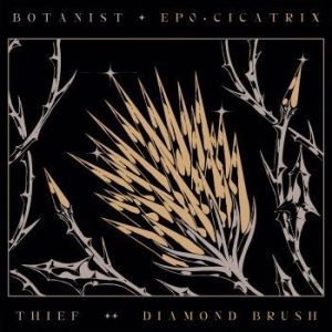 Botanist / Thief - Cicatrix / Diamond Brush i gruppen CD / Metal hos Bengans Skivbutik AB (4031985)