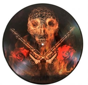 Guns N' Roses - Live In New York 1988 (Picture Disc i gruppen VINYL / Metal hos Bengans Skivbutik AB (4033568)