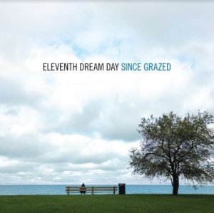 Eleventh Dream Day - Since Grazed i gruppen VINYL / Metal,Pop-Rock hos Bengans Skivbutik AB (4034192)